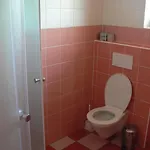 Amfik Bukovina Πανσιόν Popovice (Zlin)