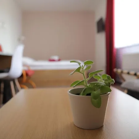 Penzion Amfík Bukovina 3*