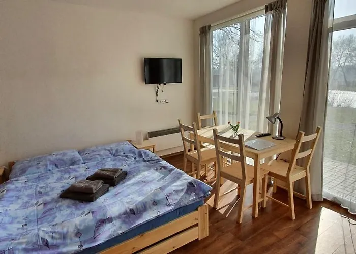 Amfik Bukovina 게스트하우스