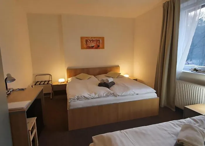 招待所 Amfik Bukovina 3*