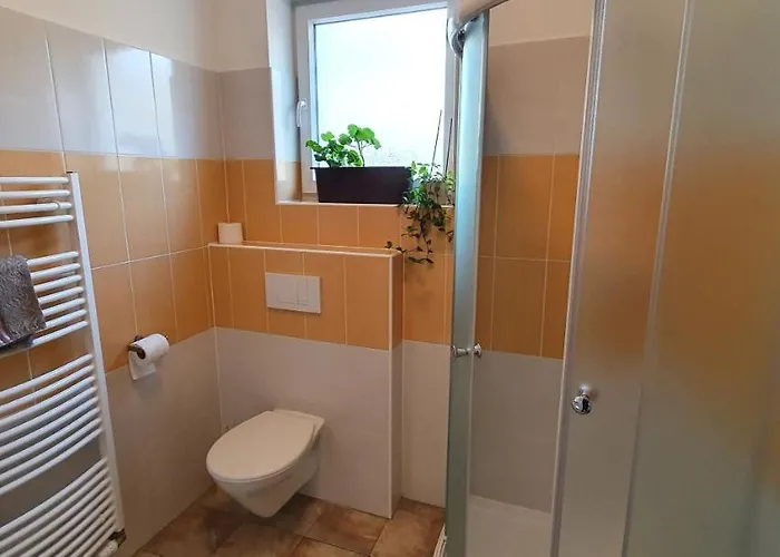 게스트하우스 Amfik Bukovina