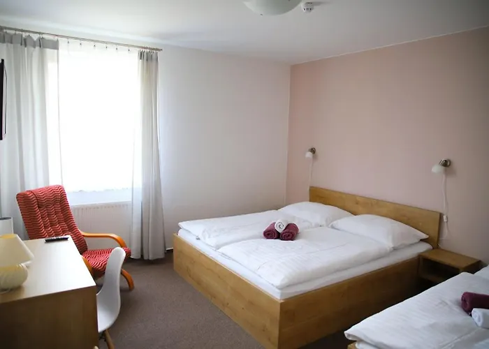 招待所 Amfik Bukovina