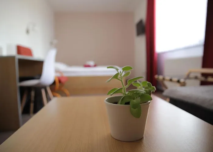 게스트하우스 Amfik Bukovina 3*