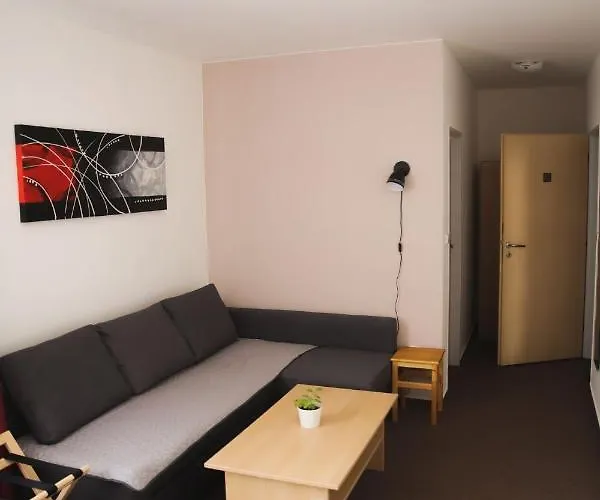 招待所 Amfik Bukovina 3*