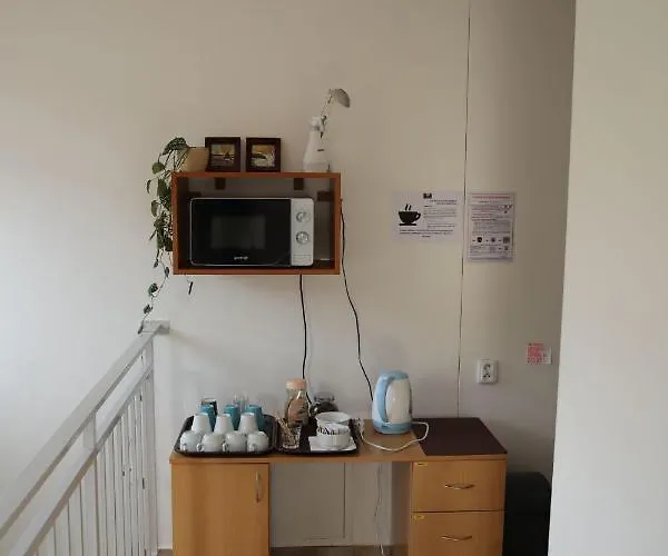 게스트하우스 Amfik Bukovina