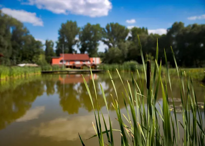 Amfik Bukovina 招待所 3*