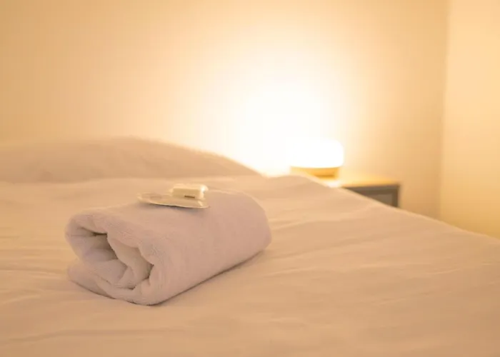 招待所 Amfik Bukovina